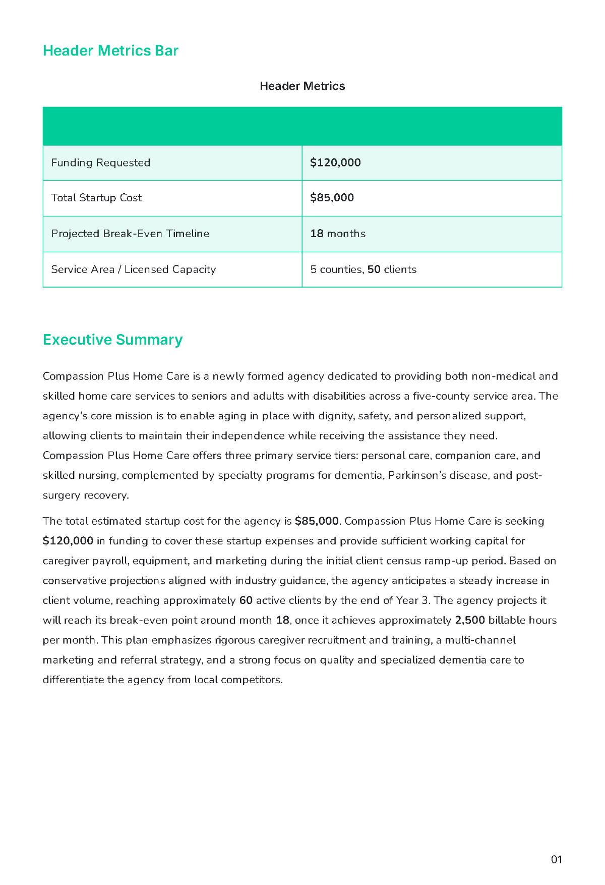 Free Home Care Business Plan Template to Edit Online