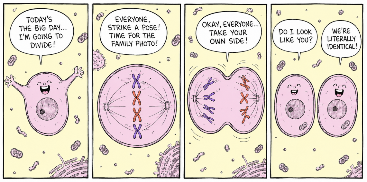 Marketing Comic Strip AI Generator & Maker Marketing Comic Strip AI Generator & Maker
