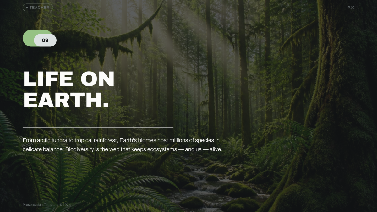Free Teacher Presentation Template to Edit Online