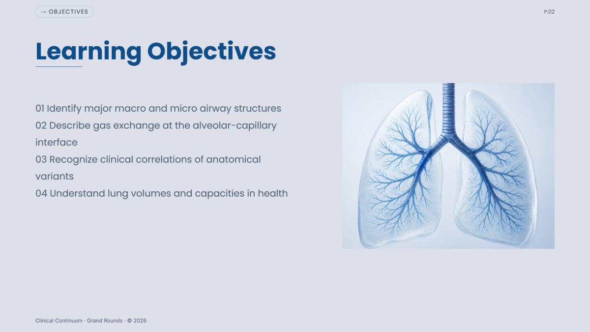 Free Anatomy Presentation Template to Edit Online