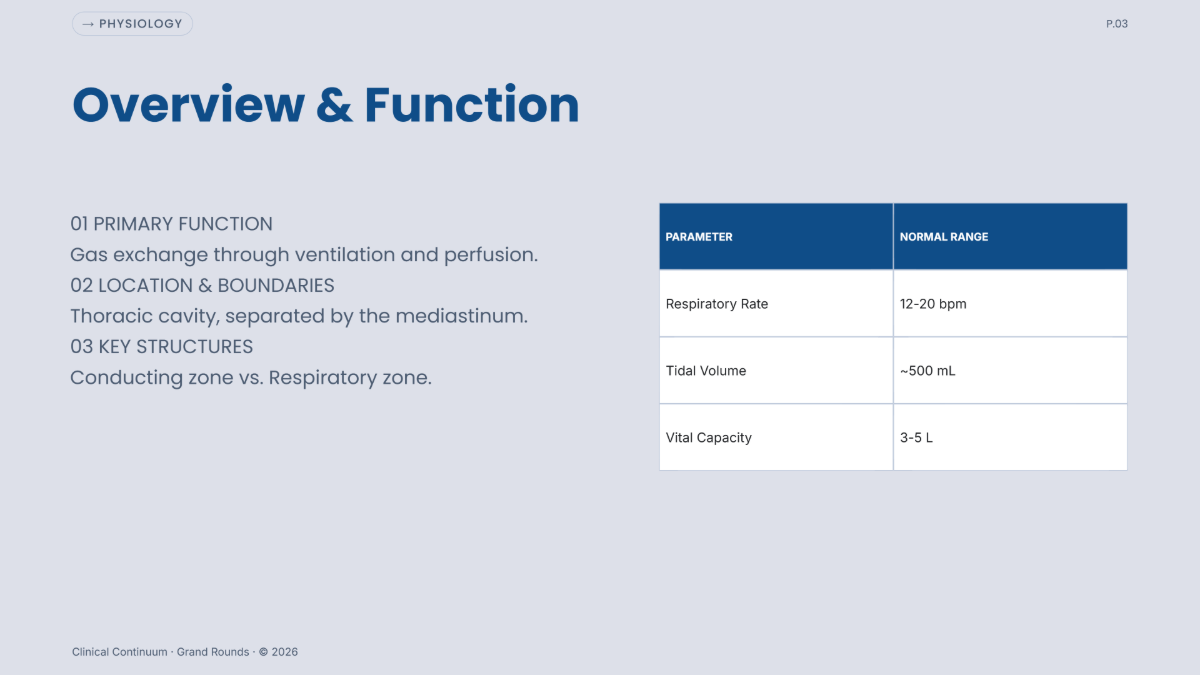 Free Anatomy Presentation Template to Edit Online