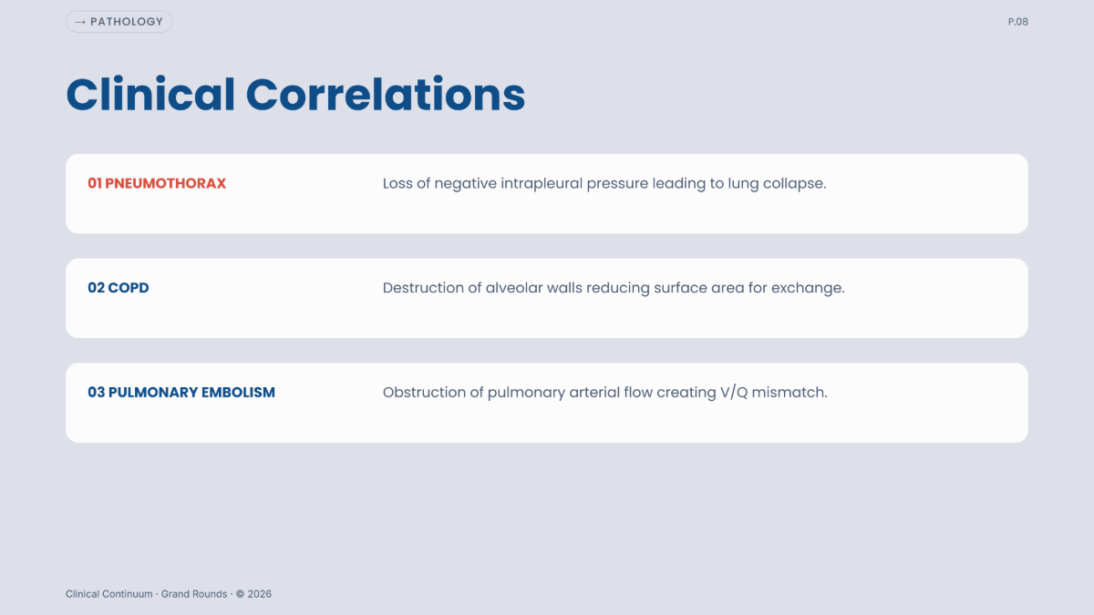 Free Anatomy Presentation Template to Edit Online