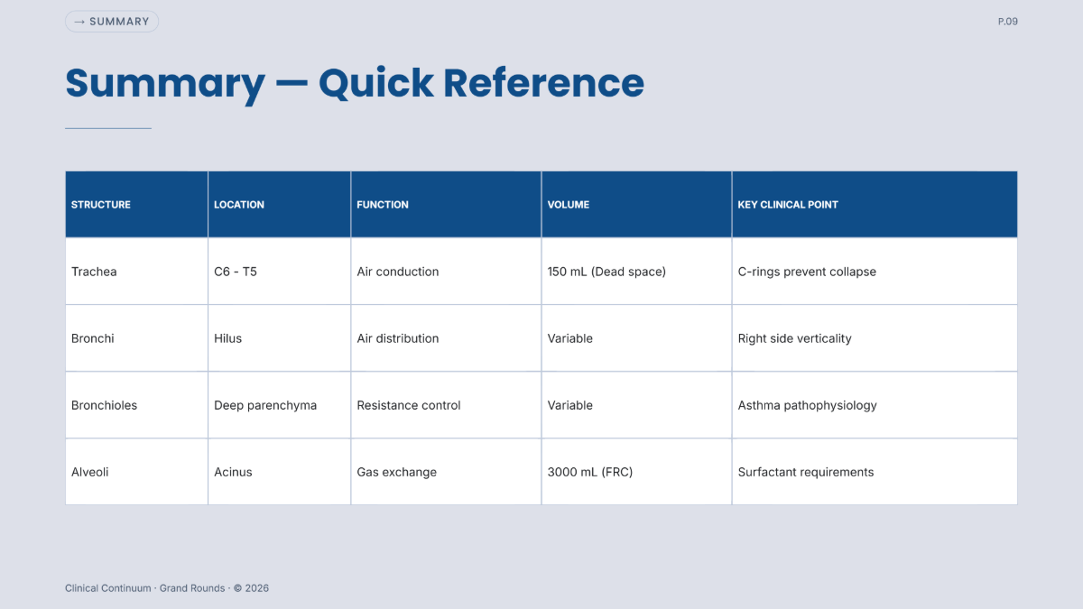 Free Anatomy Presentation Template to Edit Online