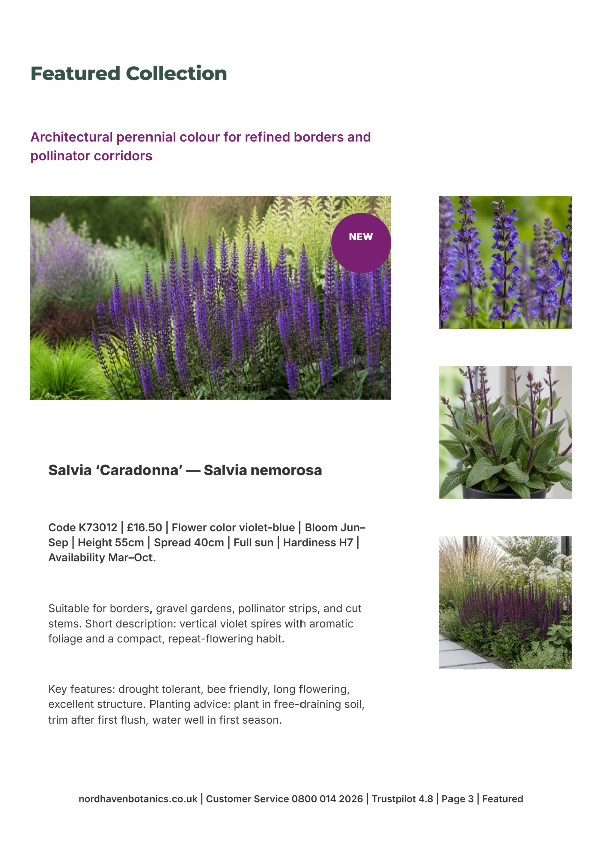 Free Garden Catalog Template to Edit Online