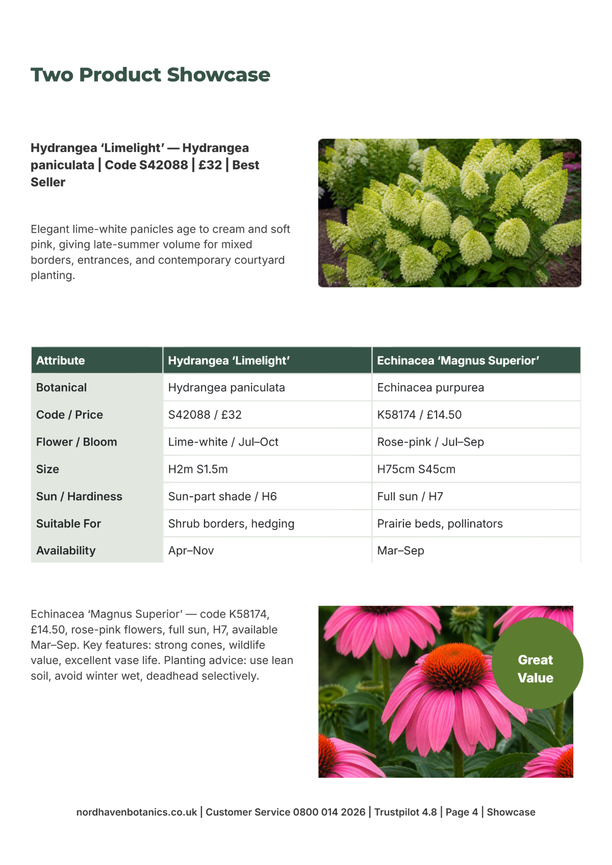 Free Garden Catalog Template to Edit Online