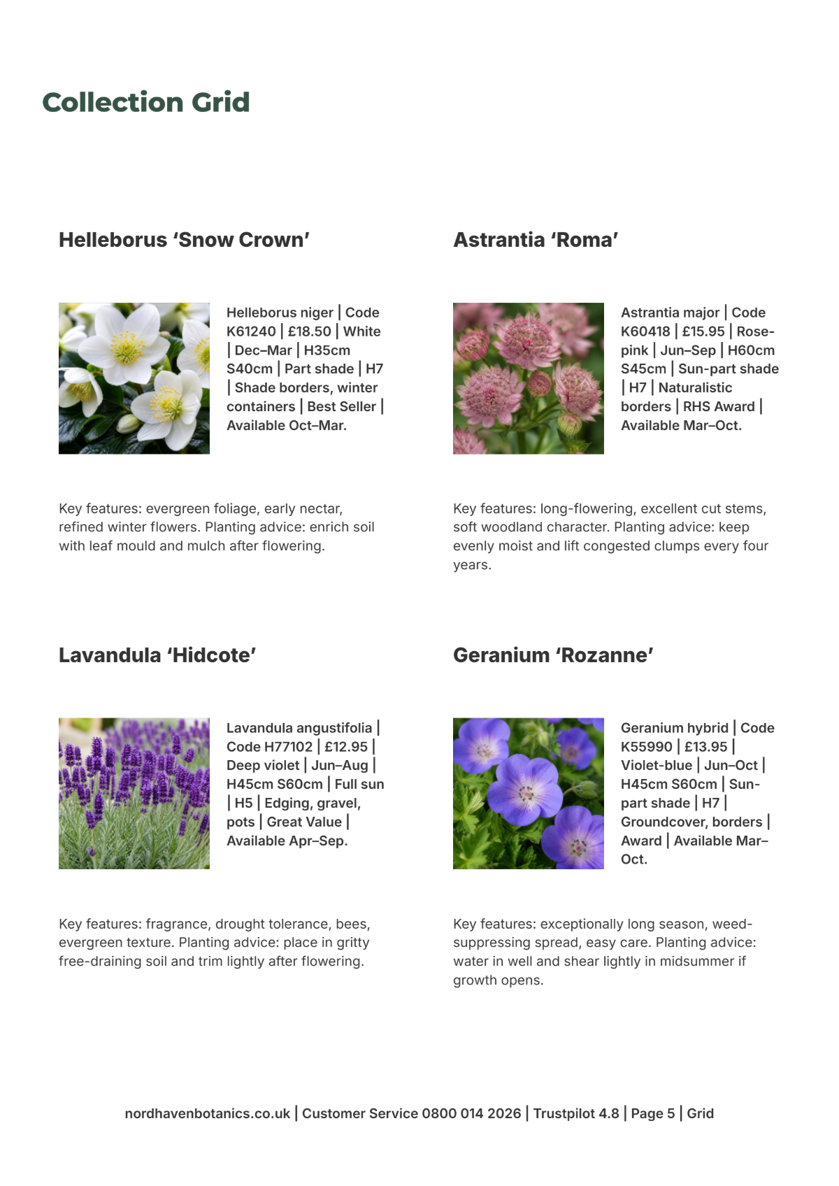 Free Garden Catalog Template to Edit Online