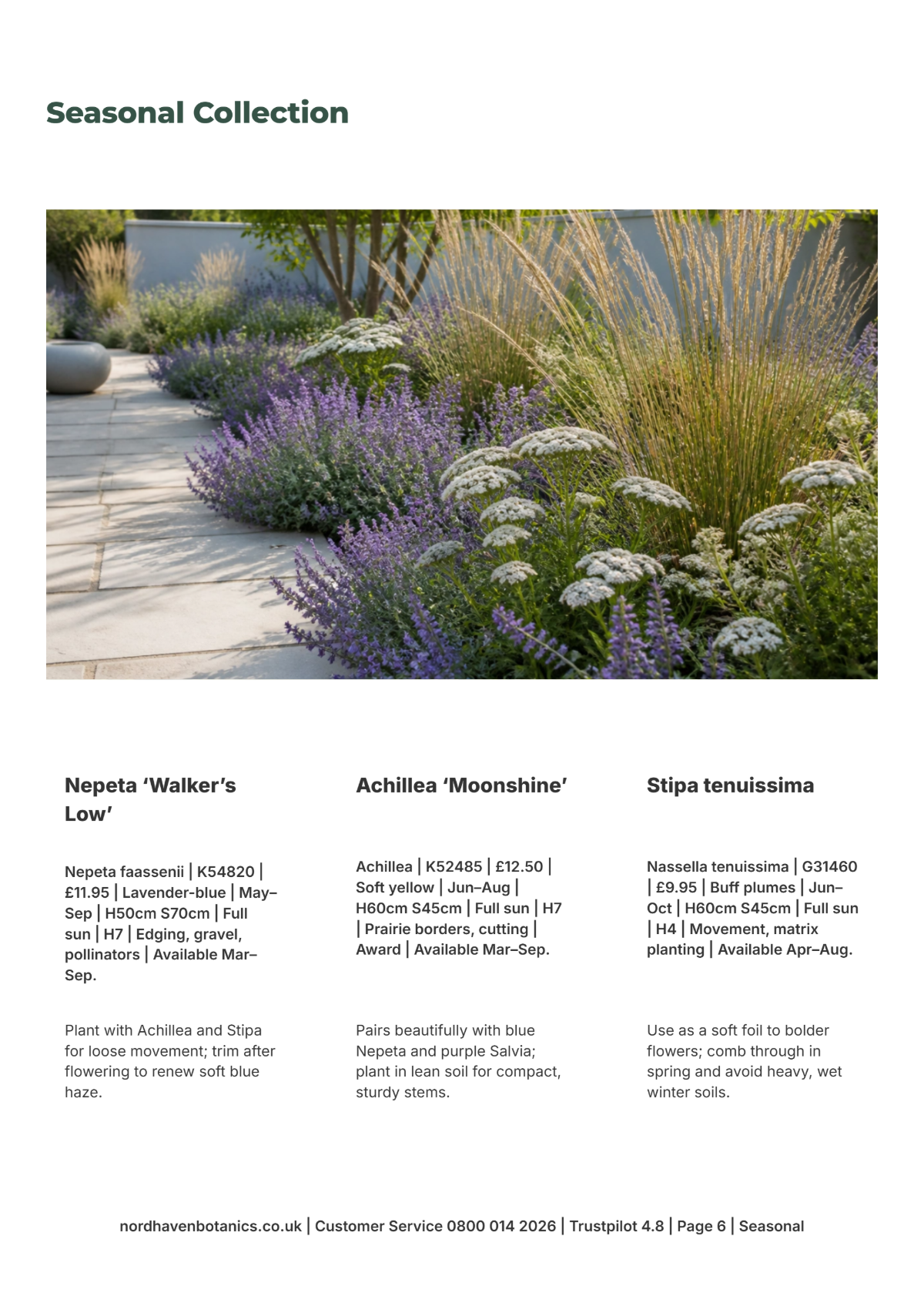 Free Garden Catalog Template to Edit Online