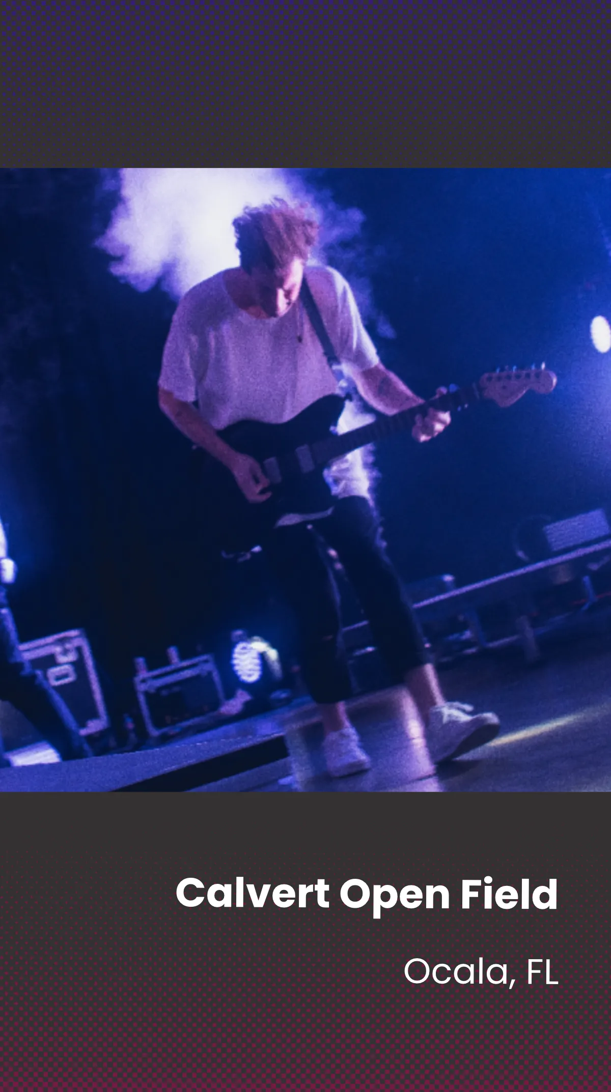 Free Music Concert Show Instagram Story Template to Edit Online