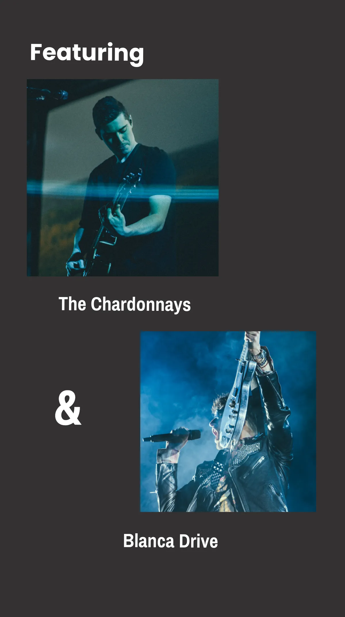 Free Music Concert Show Instagram Story Template to Edit Online