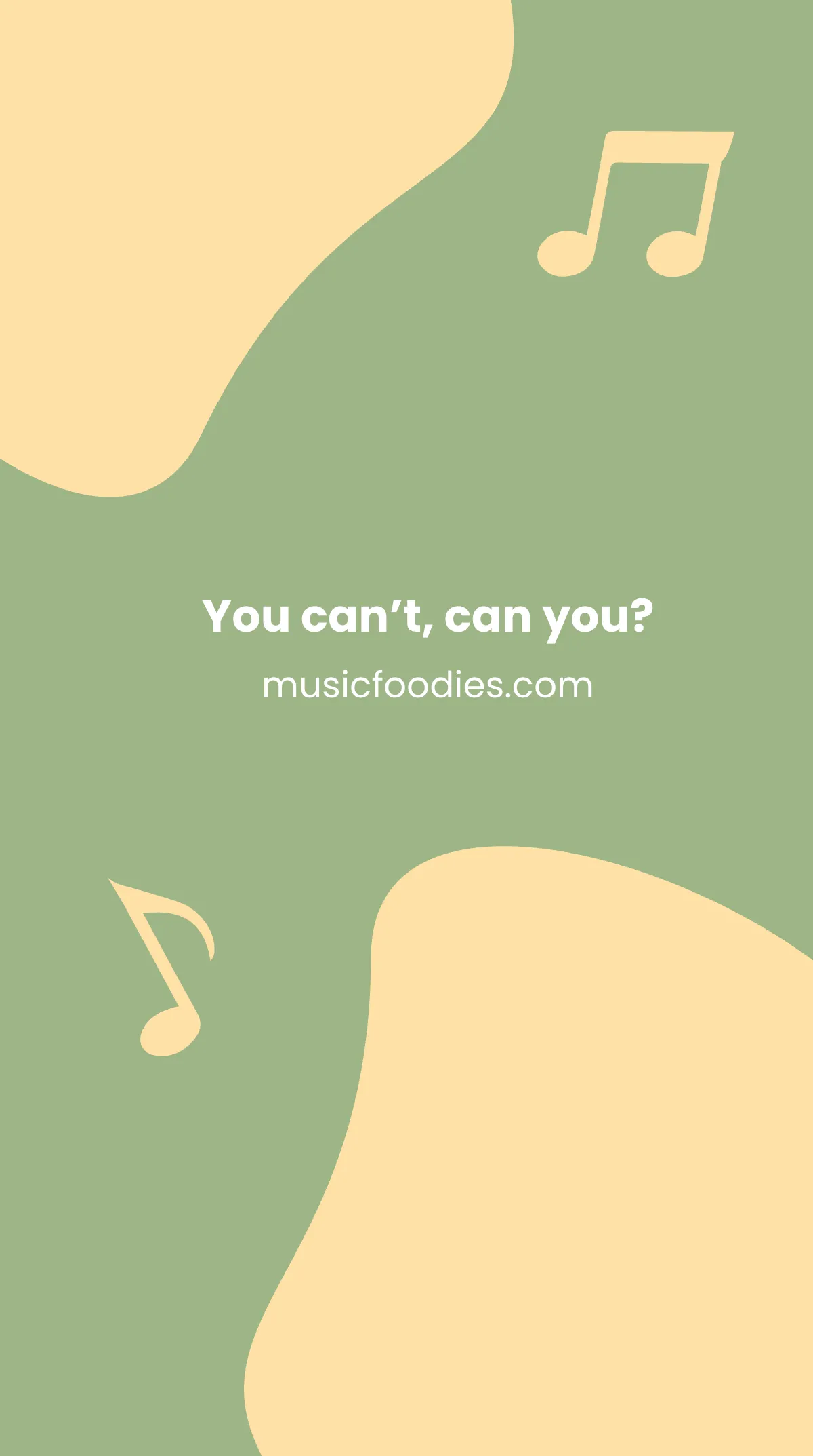 Music Quote Instagram Story Template