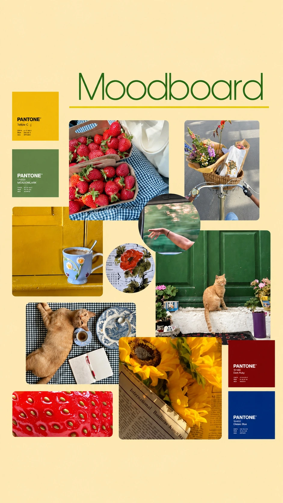 Mood Board to Concept Video to Download Mood Board to Concept Video to Download
