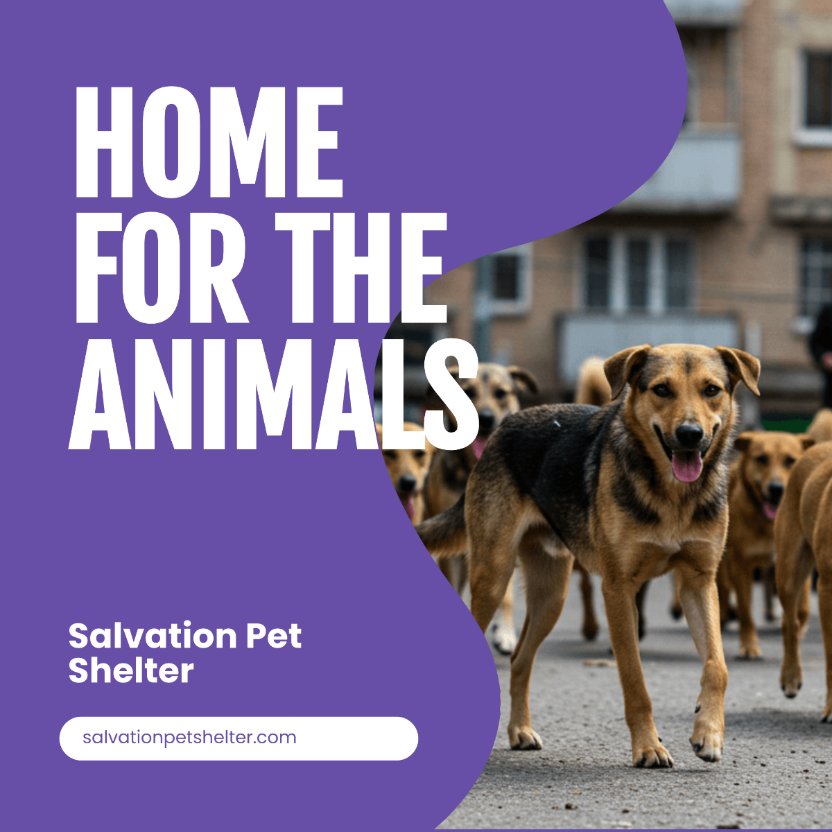 Free Pet Shelter Promotion Instagram Ad Template to Edit Online