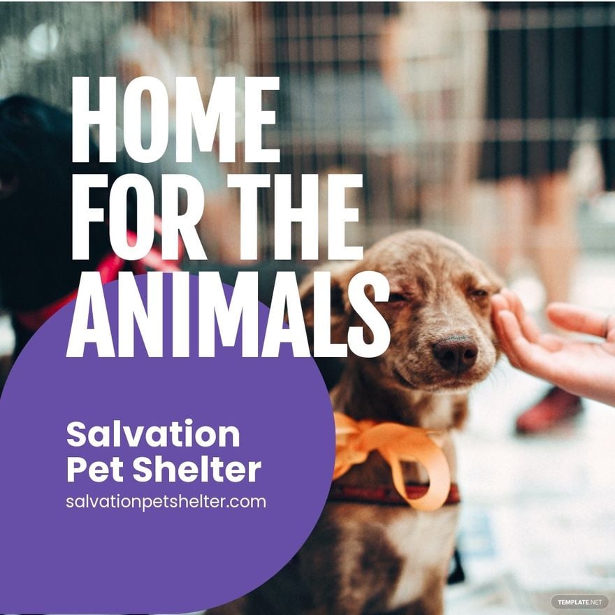 Free Pet Shelter Promotion Instagram Ad Template 
