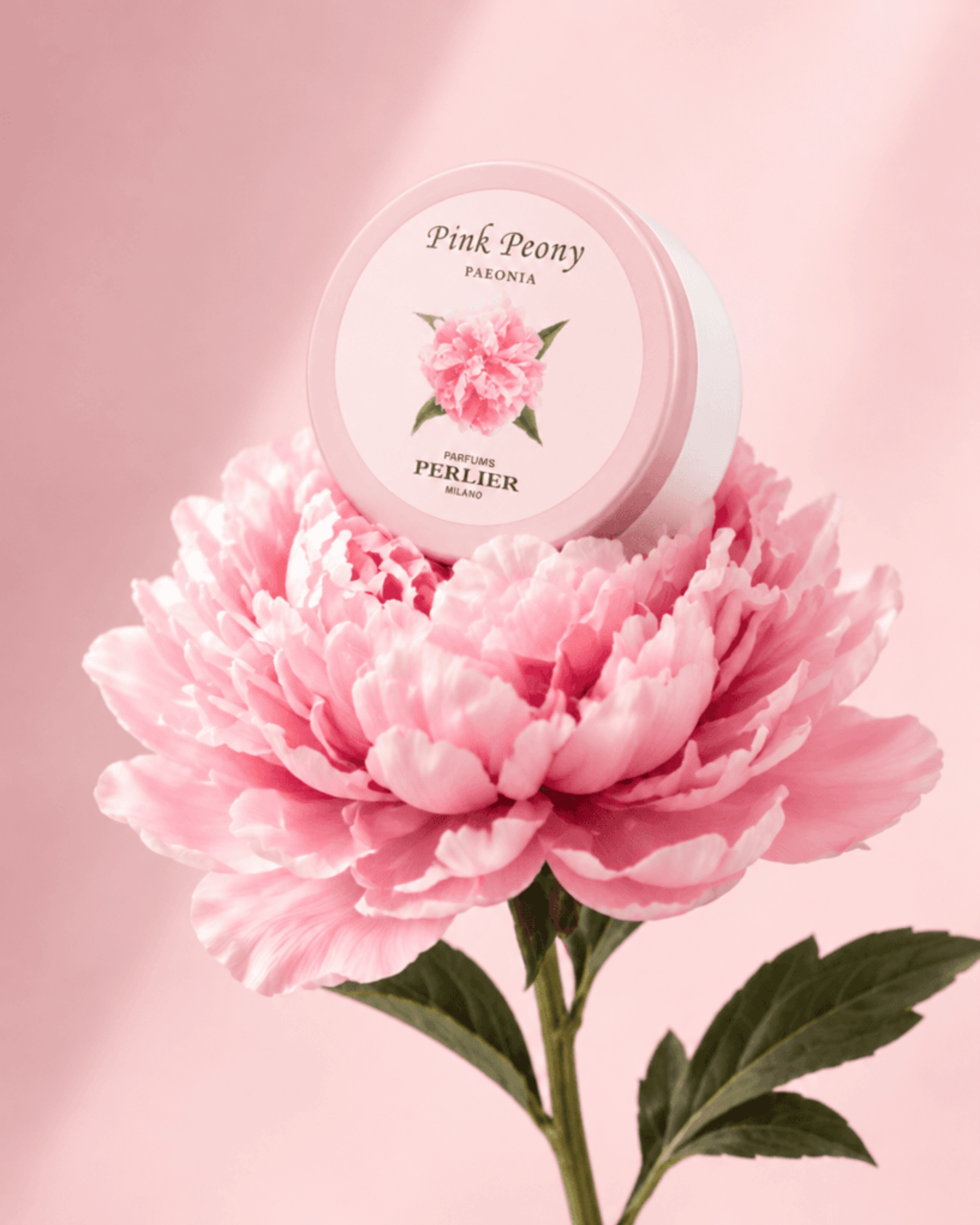 Free Off Kilter Product Shot Template to Edit Online