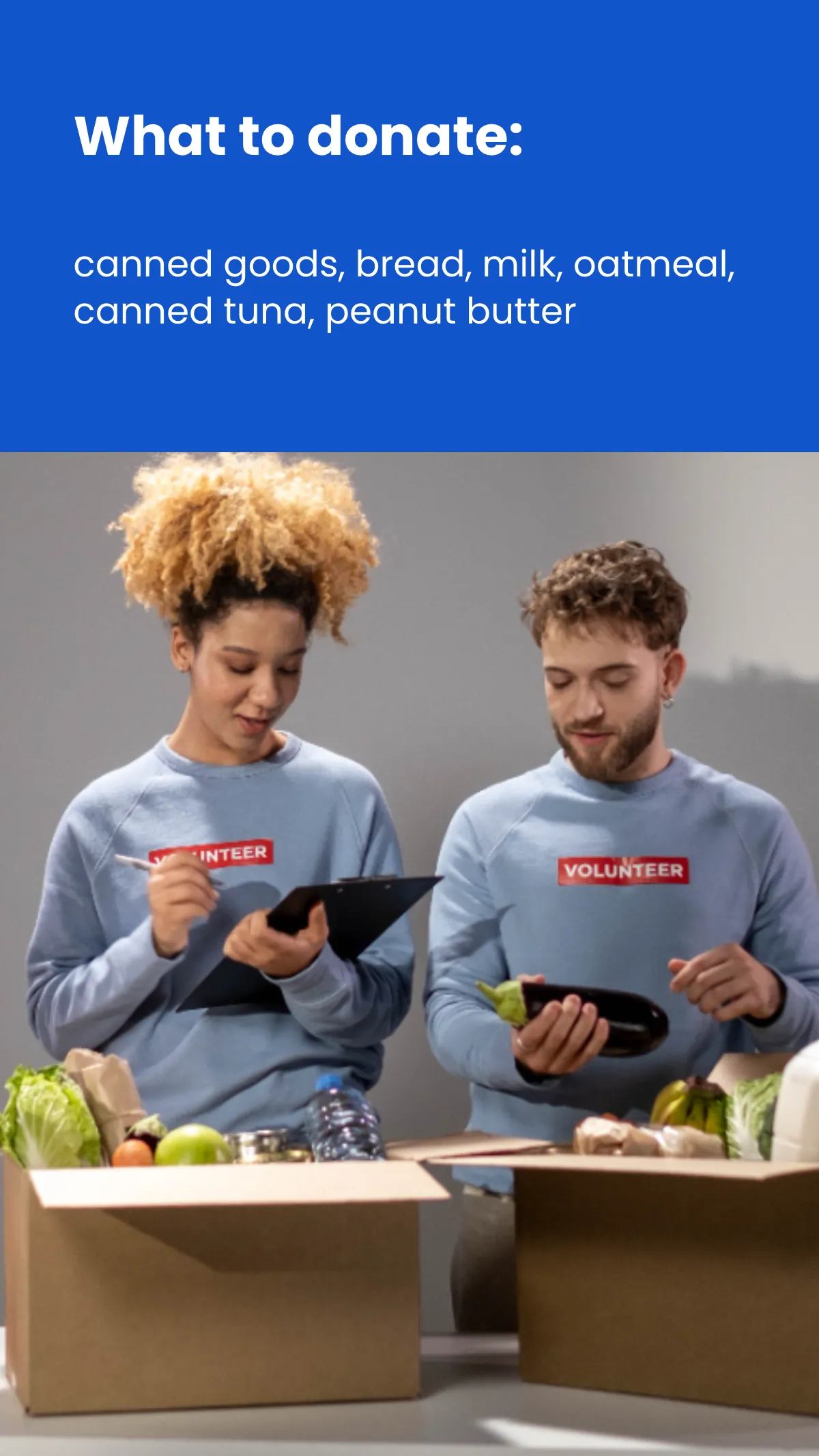 Free Food Drive Instagram Story Template to Edit Online