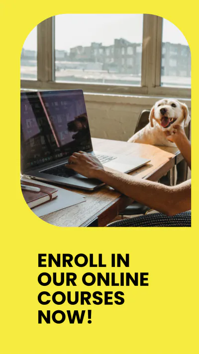 Free Online Courses Whatsapp Story Template to Edit Online