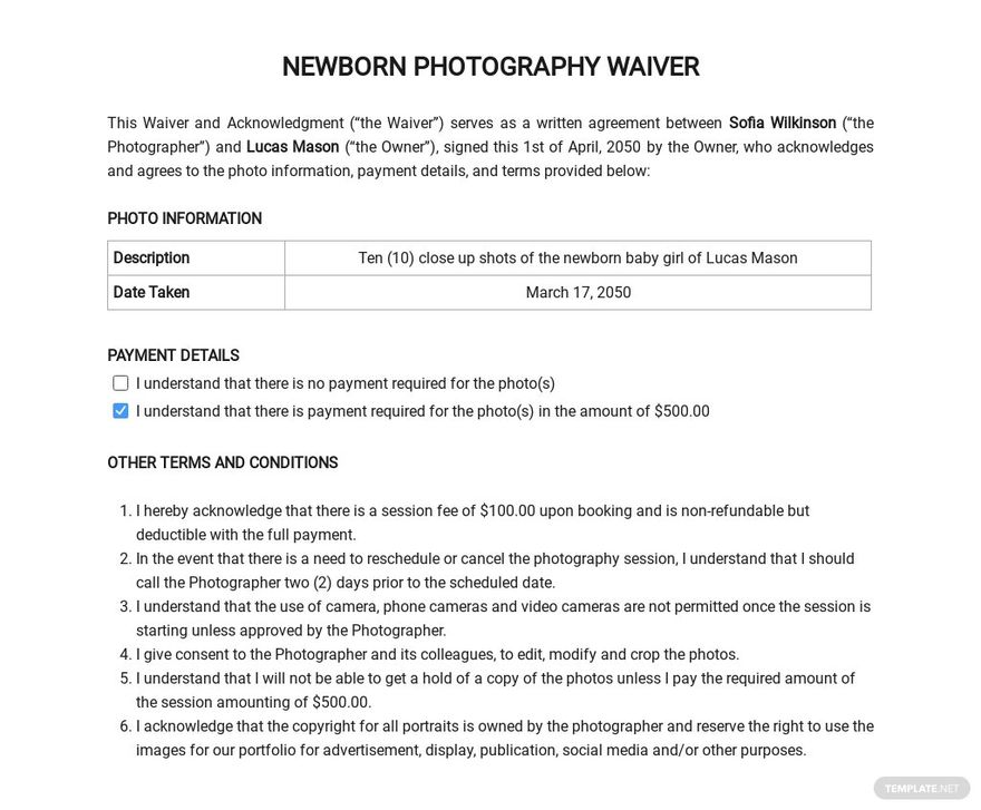 Free Sample Waiver for Photography Template Google Docs Word