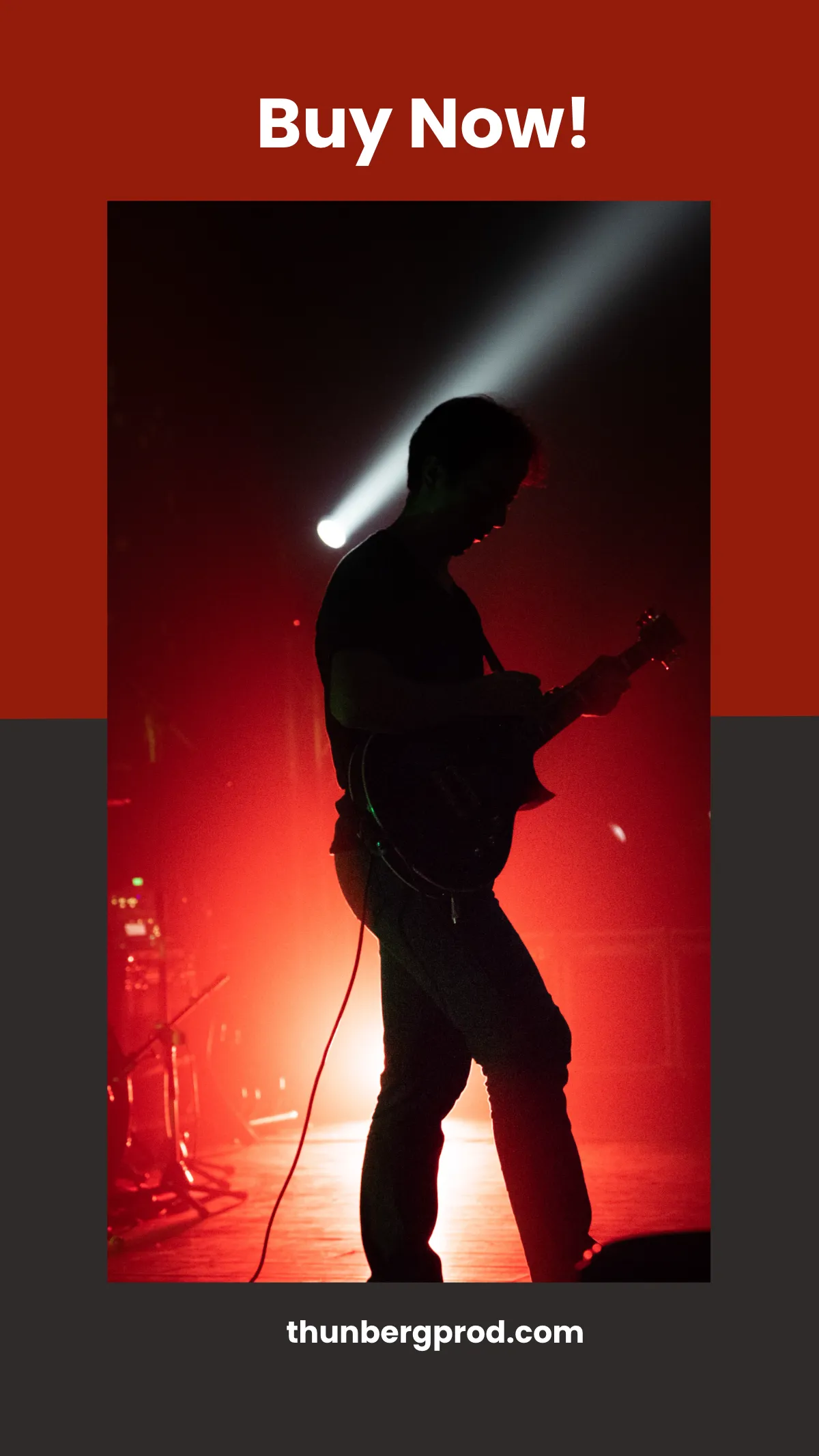 Free Live Concert Instagram Story Template to Edit Online