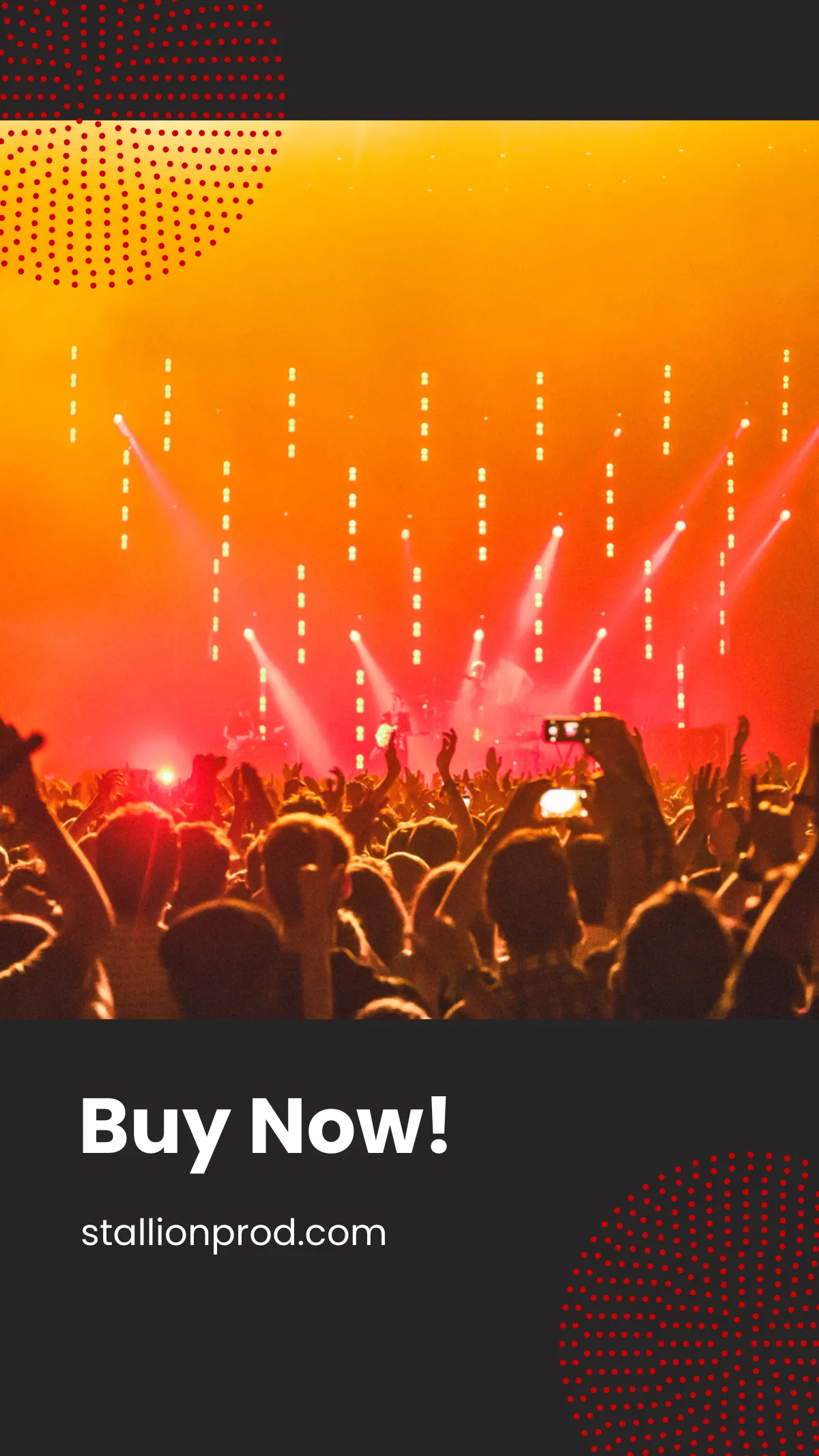 Free Band Concert Instagram Story Template to Edit Online