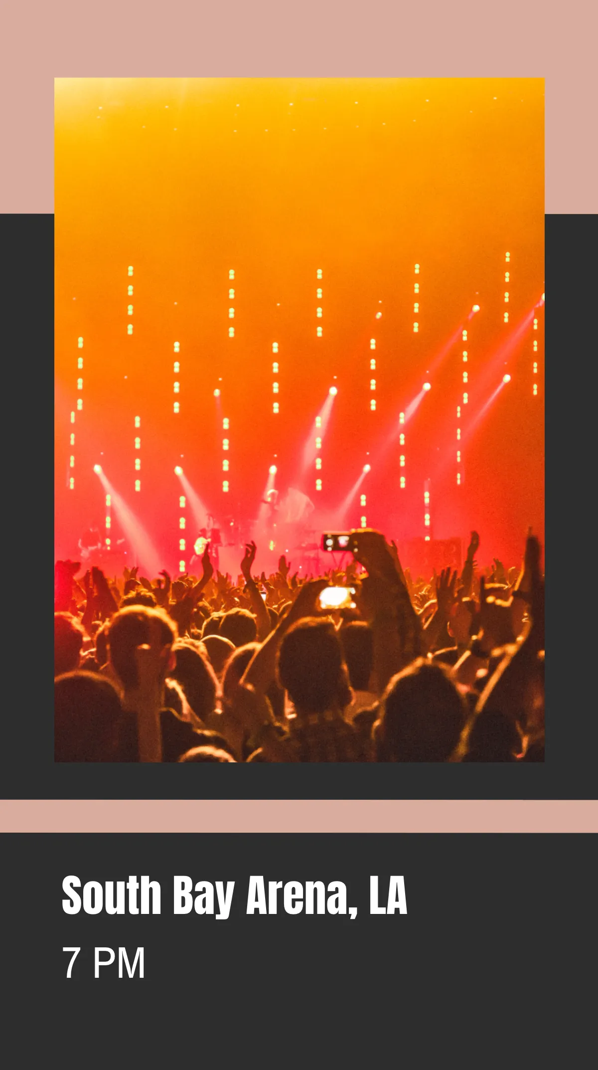Free Concert Tour Instagram Story Template to Edit Online