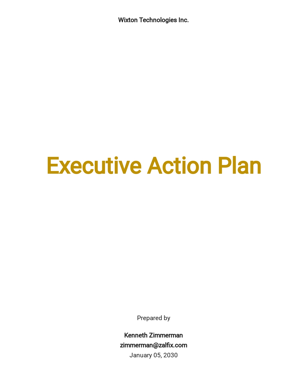 Executive Action Plan Template