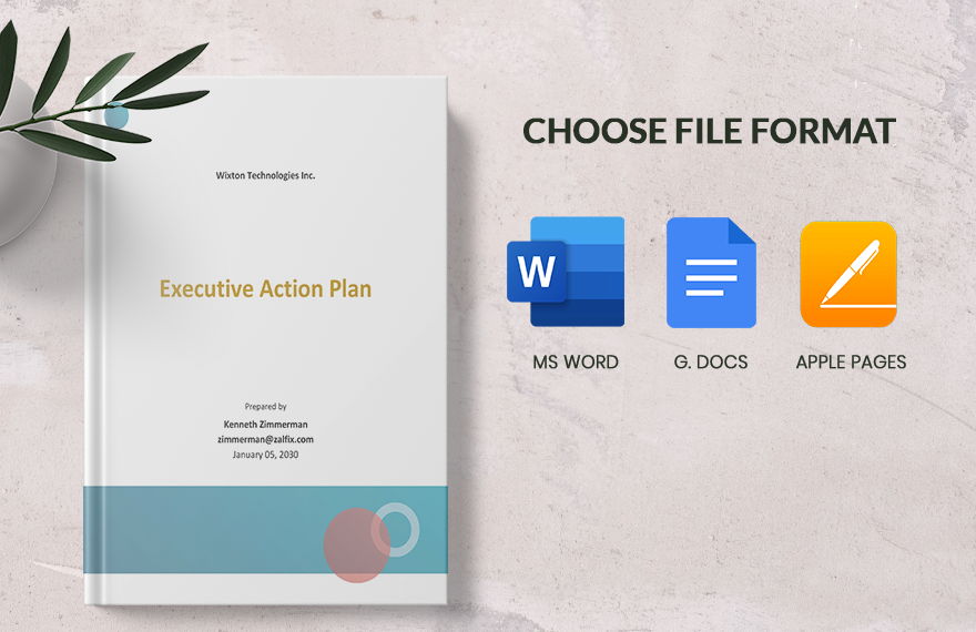 Executive Action Plan Template