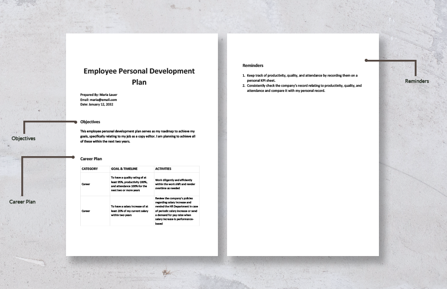 Employee Personal Development Plan Template