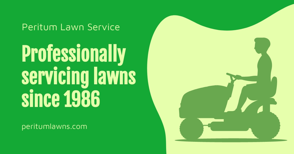 Professional Lawn Services Facebook Post Template