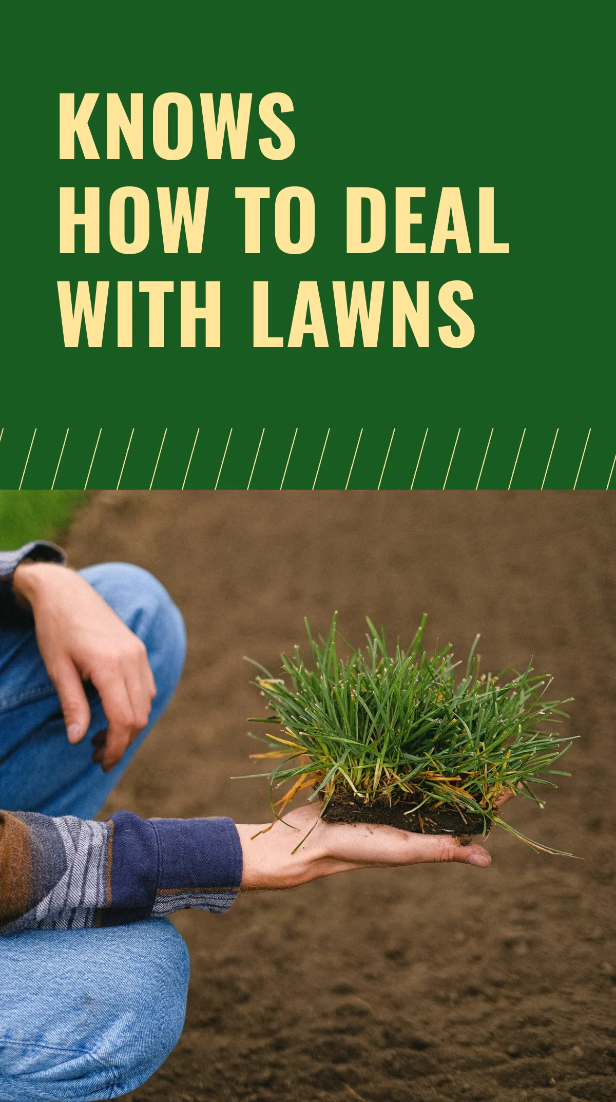 Free Lawn Care Business Instagram Story Template to Edit Online