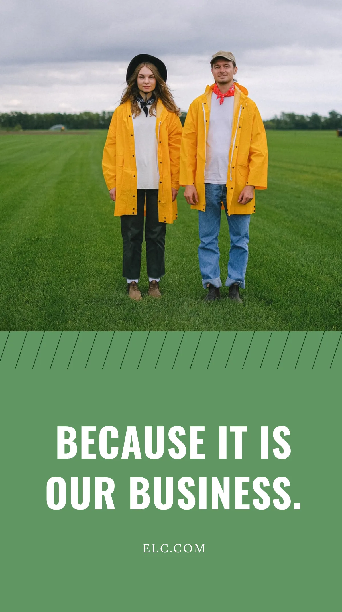 Free Lawn Care Business Instagram Story Template to Edit Online