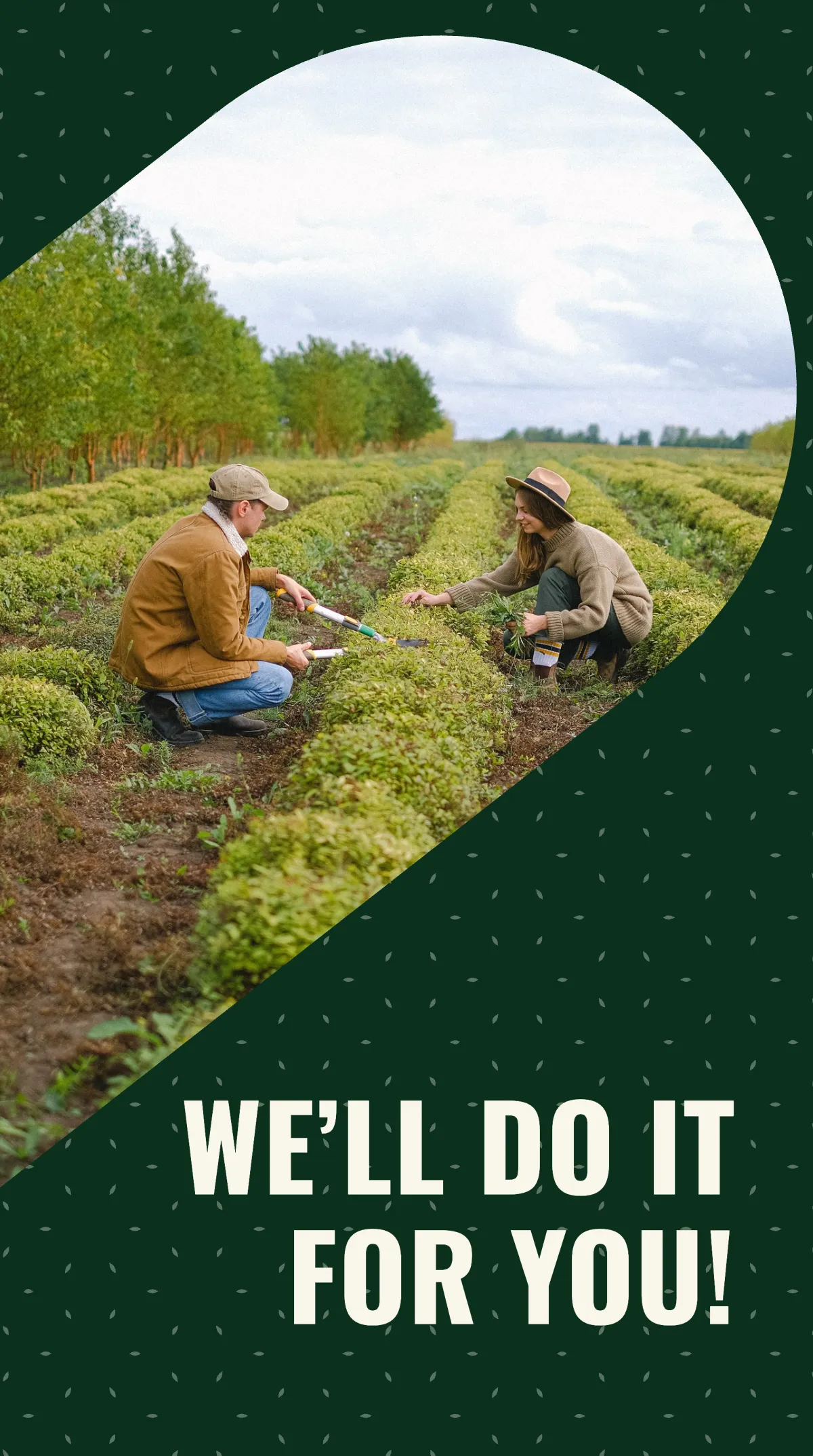 Free Lawn Mowing Service Instagram Story Template to Edit Online