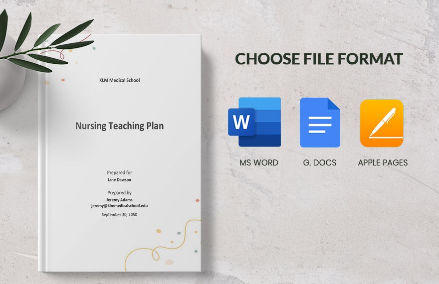 Nursing Teaching Plan Template Download in Word, Google Docs, PDF