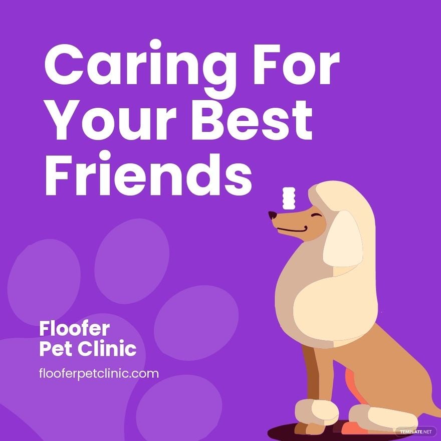 Pet Care Animated Social Media Post Template