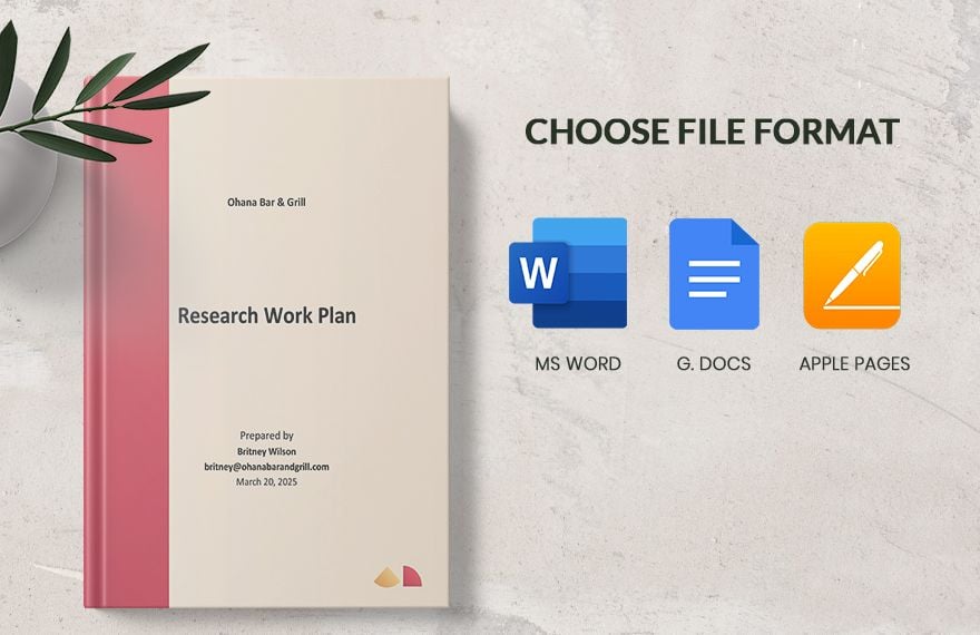 Research Work Plan Template