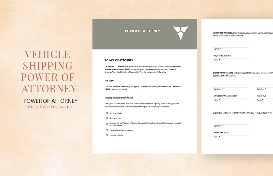 Vehicle Shipping Power of Attorney Template