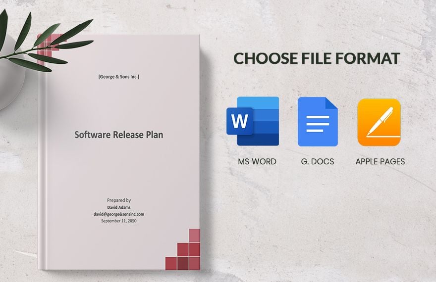 Software Release Plan Template