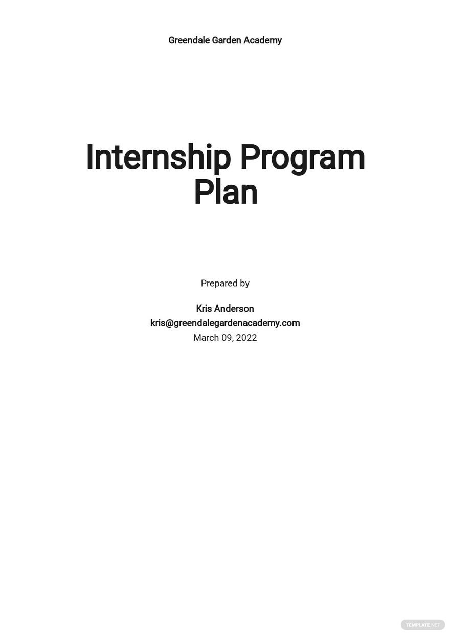 Internship Program Plan Template
