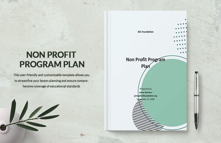 Non Profit Program Plan Template