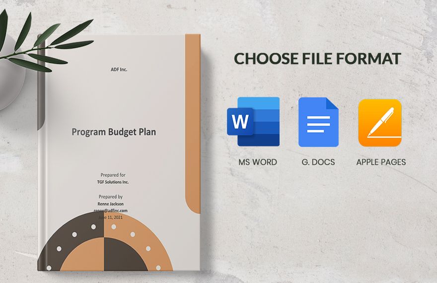 Program Budget Plan Template