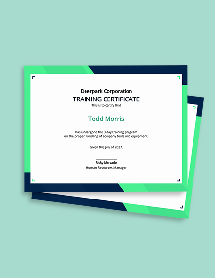 Sample Company Training Certificate Template - Google Docs, Illustrator, InDesign, Word, Outlook, Apple Pages, PSD, Publisher