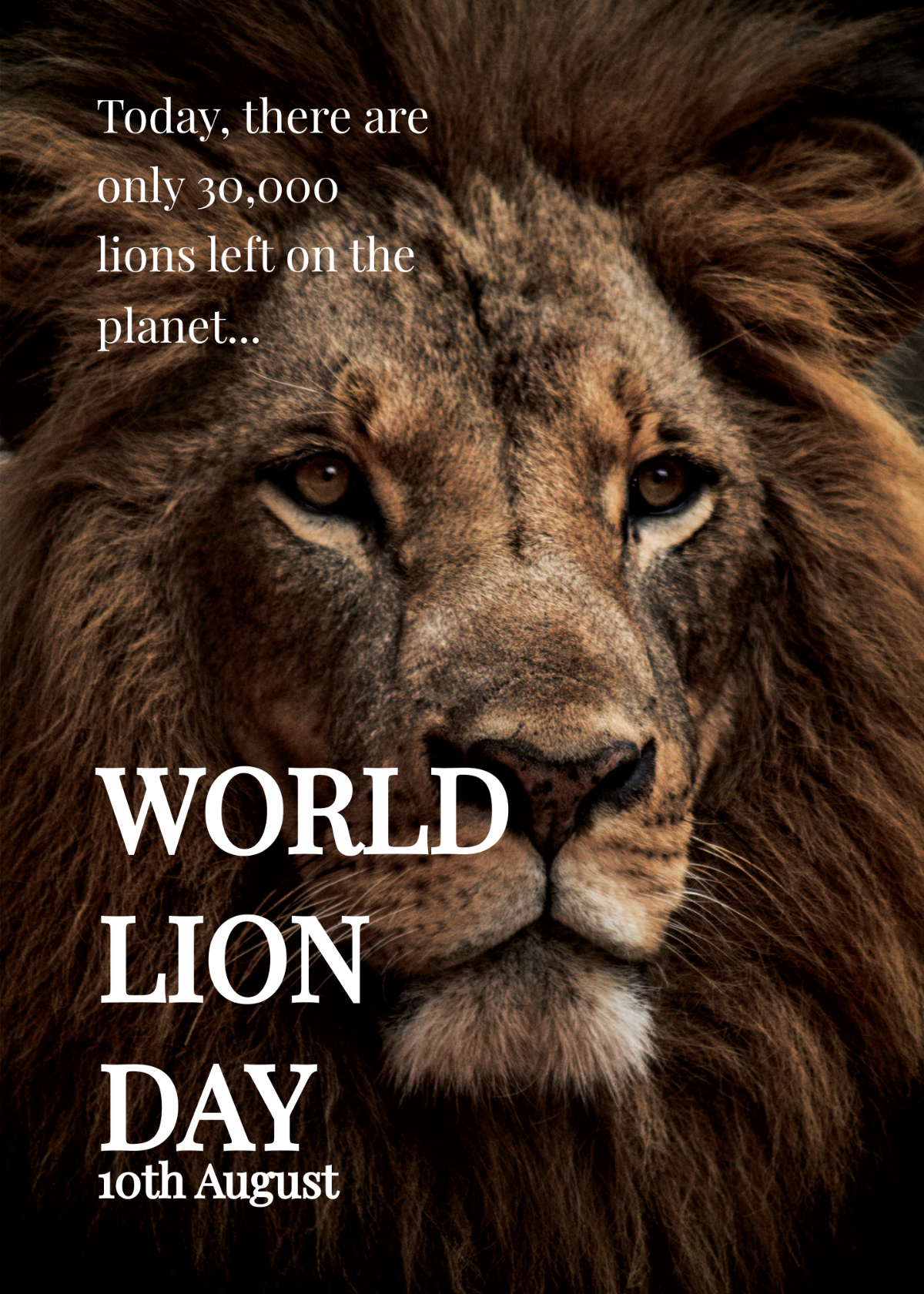 World Lion Day Greeting Card Template