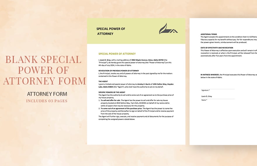 Blank Special Power of Attorney Form Template