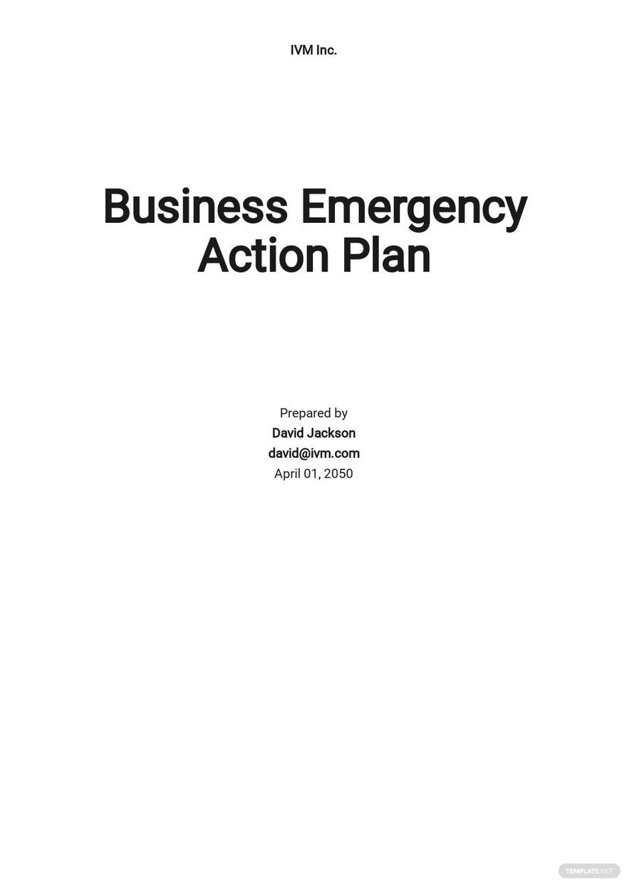 Business Emergency Action Plan Template