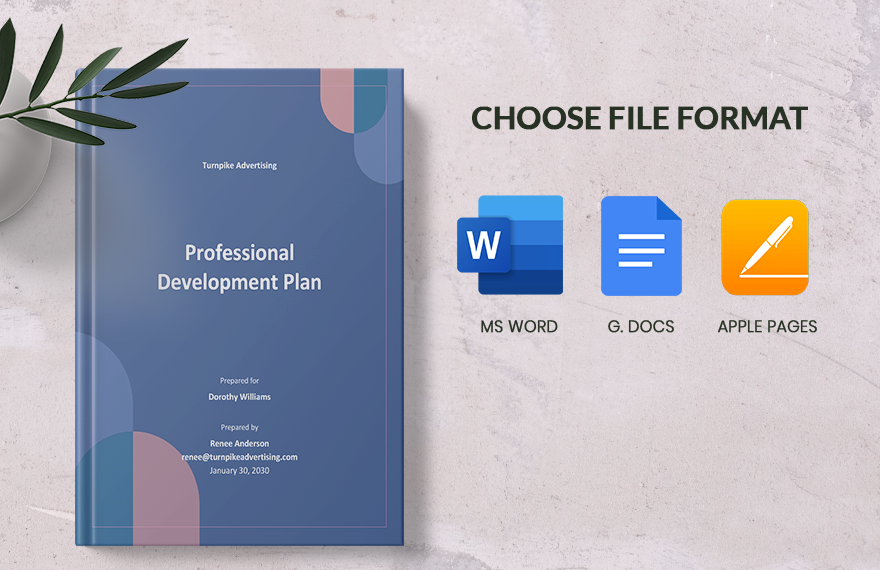 Sample Professional Development Plan Template