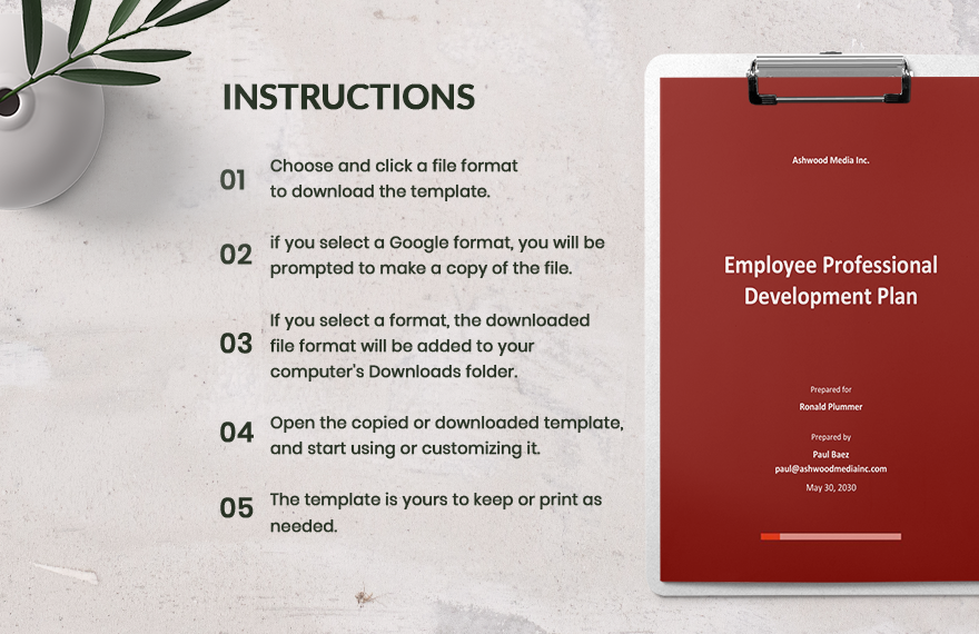 Employee Professional Development Plan Template