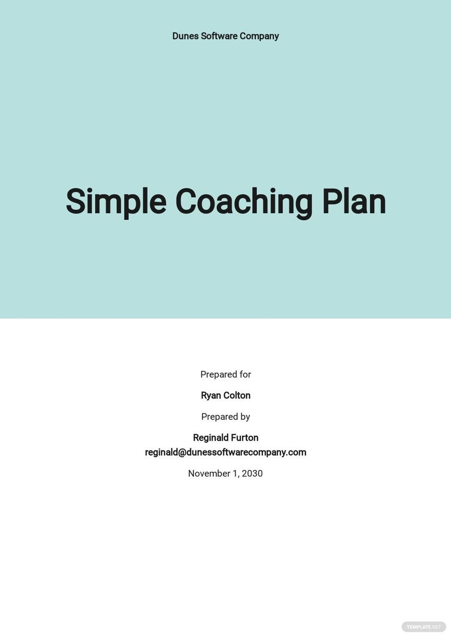 coach business plan examples