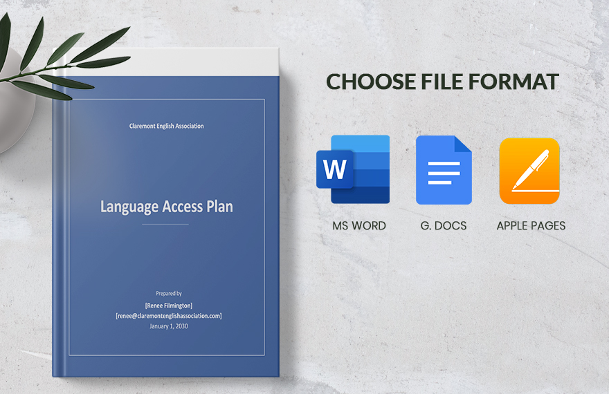 Language Access Plan Template in Word PDF Google Docs Pages