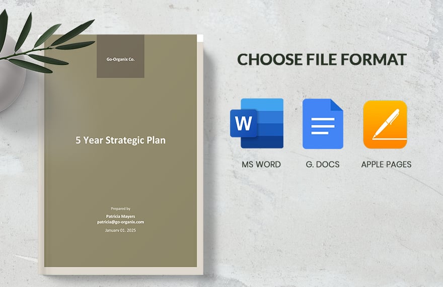 5 Year Strategic Plan Template