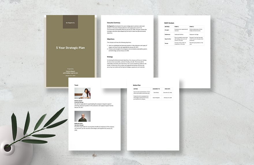 5 Year Strategic Plan Template