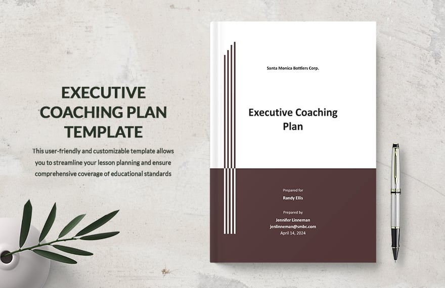 Executive Coaching Plan Template